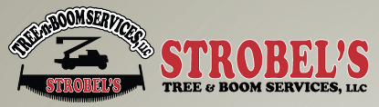 Strobel's Tree-N-Boom Services – Tree Removal, Stump Grinding, Tree Pruning, Tree Trimming, Tree Cutting, Boom Lift Rental, Snow and Ice Removal